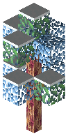 Gym Ice Tree A