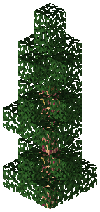 Gym Dragon Tree B