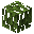 Mangrove Leaves