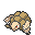 Shiny