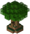 Thumbnail for version as of 09:52, 18 June 2026