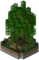 Thumbnail for version as of 09:00, 31 May 2026