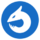 Dragon type