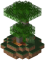Thumbnail for version as of 09:52, 18 June 2026
